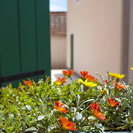 Διαμέρισμα Linda